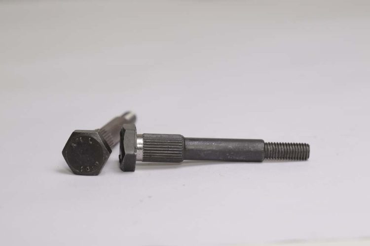 BOLT(3)