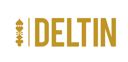 Logo 1